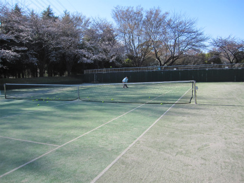 2011_kouryutaikai_photo_25.jpg (70055 oCg)