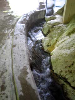 tokusaonsen06.jpg (22070 バイト)